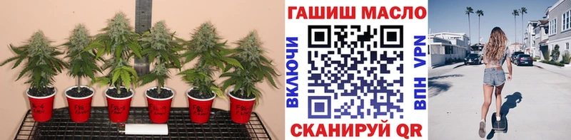 ТГК концентрат  как найти наркотики  Белоярский 