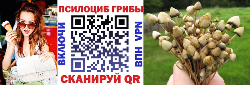 Галлюциногенные грибы мицелий  купить закладку  Белоярский 